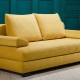 Ghế sofa Pushe: mô tả và các tính năng lựa chọn