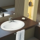 משטח עבודה בחדר האמבטיה מתחת לכיור: תכונות, זנים, בחירה