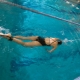 Simulateurs de natation en piscine : variétés, conseils d'utilisation et de sélection