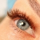 Brown eyelash extension