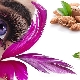Almond oil properties and uses for eyelashes
