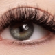 Alles over 4D wimperextensions