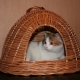 Menenun rumah kucing dari tiub surat khabar