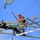 Alles über den Beruf eines Elektriker-Streckenarbeiters