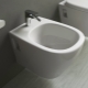 What is the bidet for and how to use it?