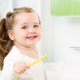 Kako naučiti dijete da pere zube?