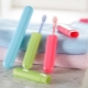Alles over tandenborstelhouders