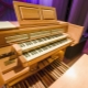 Elektrische Orgeln: Beschreibung und Gerät