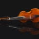 Vše o hudebním nástroji viola