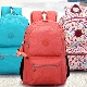 Pangkalahatang-ideya ng mga backpack mula sa Kipling