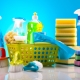Επαγγελματικά προϊόντα καθαρισμού
