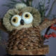 Crafts Owl from natural materials