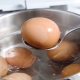 Jak vařit vajíčka na Velikonoce?