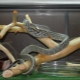 Apakah terarium ular dan bagaimana untuk melengkapkannya?