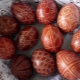 Waarom worden er eieren beschilderd met Pasen?