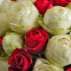 How do roses sound in the language of flowers?