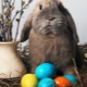 Proč je králík symbolem Velikonoc?