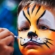 Face painting with the image of animals
