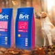 Brit assortiment voer voor honden van grote rassen