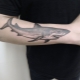 What do Shark tattoos mean and what can they be?