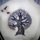 Što tetovaža drveta znači i kakve su?