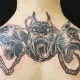 What do Cerberus tattoos mean and what are they like?