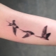 Što znače tetovaže lastavice i kakve su?