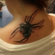 Co znamenají tetování pavouků a kam je umístit?