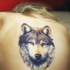 Wat betekenen wolf-tatoeages en waar is het beter om ze te vullen?