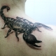 Какво означават татуировките на скорпион и какви са те?