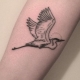 Wat betekenen de Crane-tatoeages en hoe zien ze eruit?