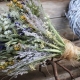 Što je sušeno cvijeće za cvjećarstvo i kako sakupiti buket od njih?