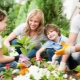 Should there be common hobbies in the family and what can they be?
