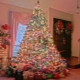 ¿Cómo decorar correctamente un árbol de Navidad?