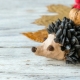 How to make a Hedgehog craft from seeds?