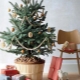 Jak ozdobit živý vánoční stromeček?