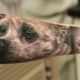 Ce sunt tatuajele pentru câini și de unde să le faci?