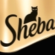 Cat food Sheba
