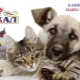Imperial Natuurvoeding voor honden en katten