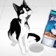 Felix krmivo pro kočky