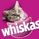 Pregled suhe hrane za mačke i mačke Whiskas