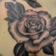 Revizuirea tatuajelor cu trandafir negru