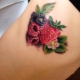 Resenha de tatuagem de frutas e frutas