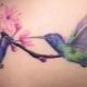 Revue de tatouage de colibri