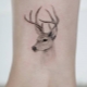Deer tattoo overview