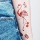 Преглед на татуировките на птици и местата на тяхното приложение