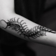 Scolopendra tetoválás felülvizsgálata