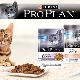 Purina Pro Plan Wet Foods Review