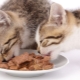 Purina Pro Plan mitrās barības apraksts kaķēniem