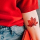 Características e visão geral da tatuagem Maple Leaf